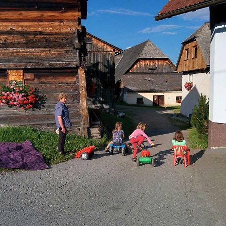 Rettlhof Villa Sankt Peter am Kammersberg Bagian luar foto