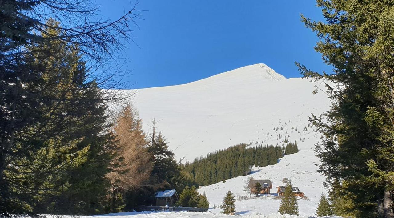 Rettlhof Villa Sankt Peter am Kammersberg Bagian luar foto